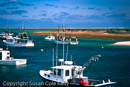 Harbors